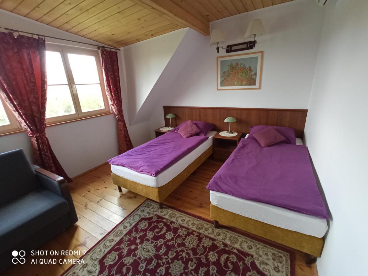 Bed and Breakfast Dwor Strzyzew Zelazowa Wola Esterno foto